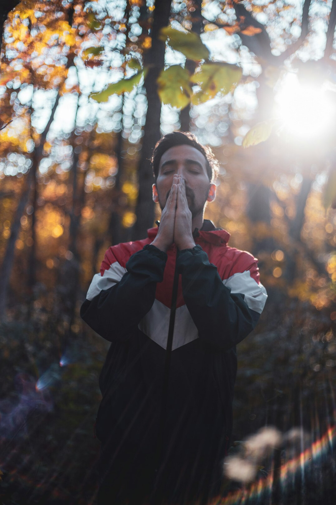 person meditating in forest