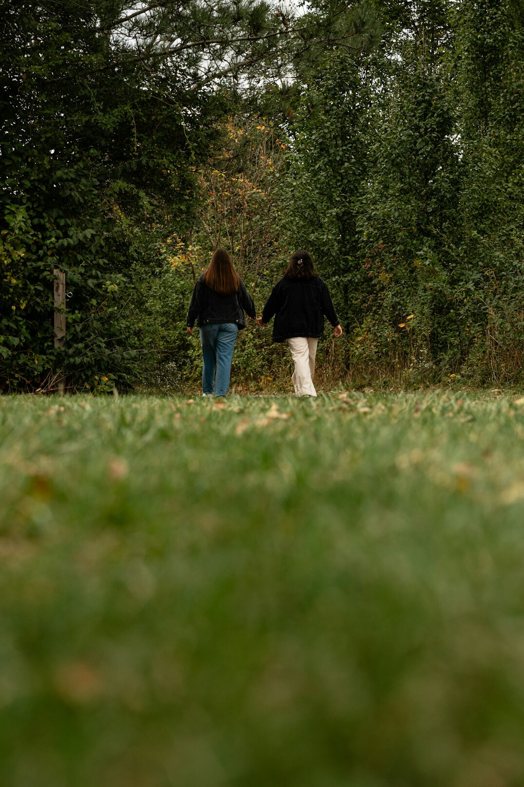 person walking in nature