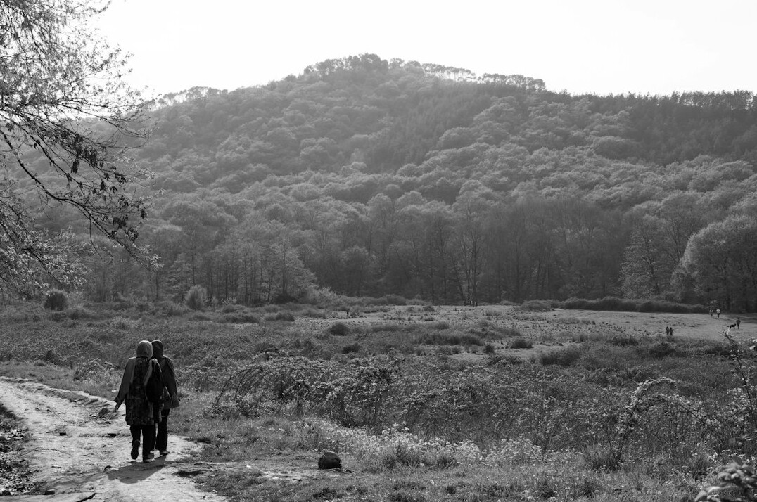 person walking in nature for calm