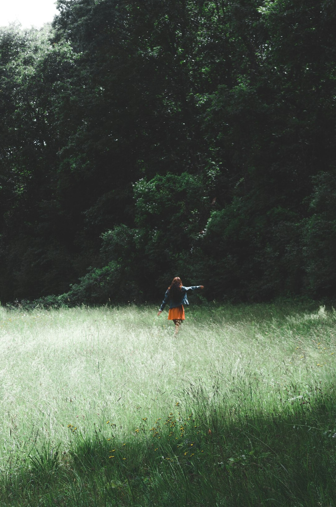 person walking in nature